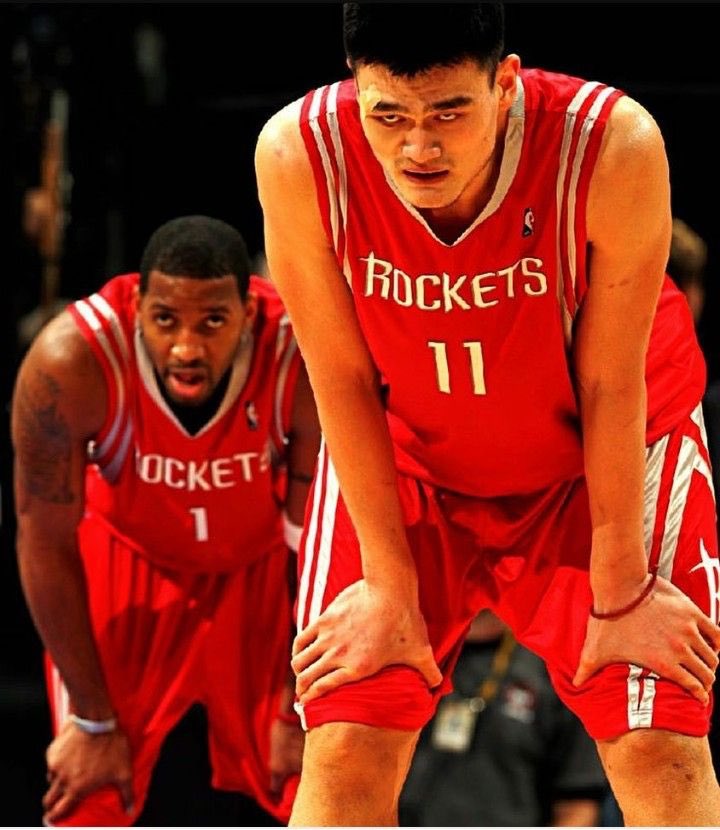 半高半长 半高半长