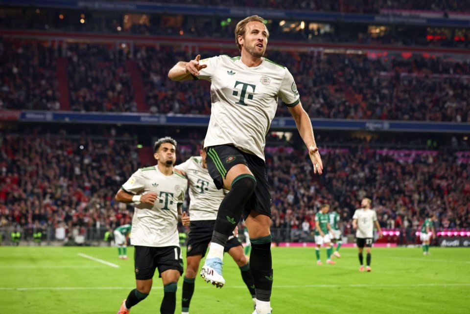 更因为他能 更因为他能